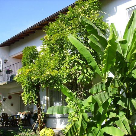 اممنستاد ام بودينسي Ferienzimmer Immenstaad المظهر الخارجي الصورة